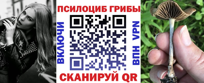 Псилоцибиновые грибы Psilocybe Тотьма